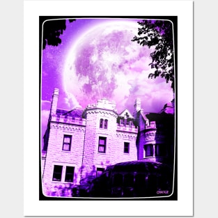 Moonlit Castle Posters and Art